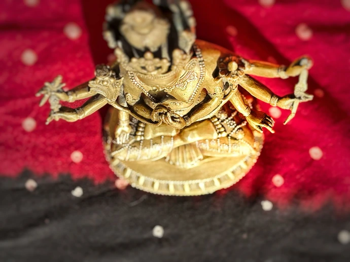 THE ART OF ĀYURVEDA - COMPREHENSIVE FOUNDATION